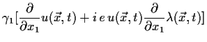 $\displaystyle \gamma _1 [\frac{\partial }{ \partial x_1}u(\vec x, t)+
i\,e\,u(\vec x, t) \frac{\partial }{\partial x_1}\lambda (\vec x,t)]$